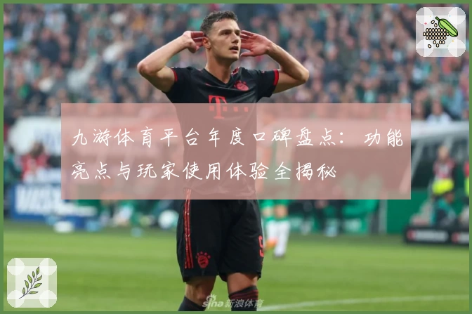 九游体育平台年度口碑盘点：功能亮点与玩家使用体验全揭秘